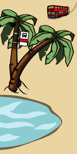 palm tree